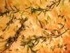 Poulet crispy