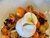 Burrata