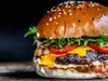 Cheese Burger L/XL
