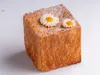 Cube mangue passion