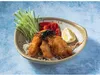 Poulet katsu