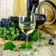 Vins