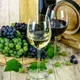 Vins