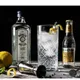 GIN TONIC