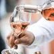 VINS ROSÉS